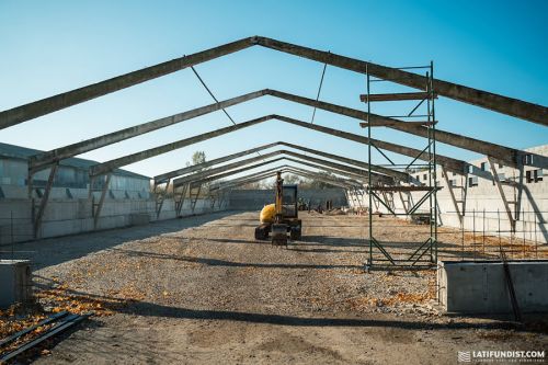 Сучасний свинокомплекс із кількома виробничими корпусами будують на Тернопільщині