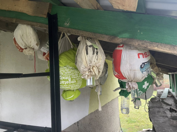 У Кременці створили першу в Україні лабораторію для дослідження ентомофауни ксилотрофних грибів (фото)