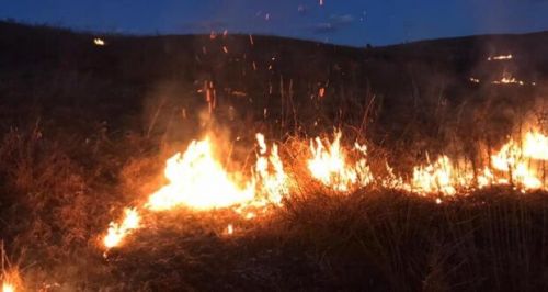 Пожежа виникла у Підгородньому біля Тернополя