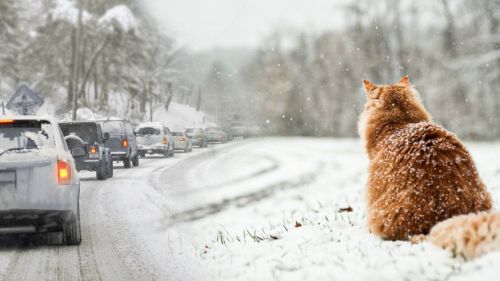 З вівторка на Тернопільщині прогнозують 9 градусів тепла