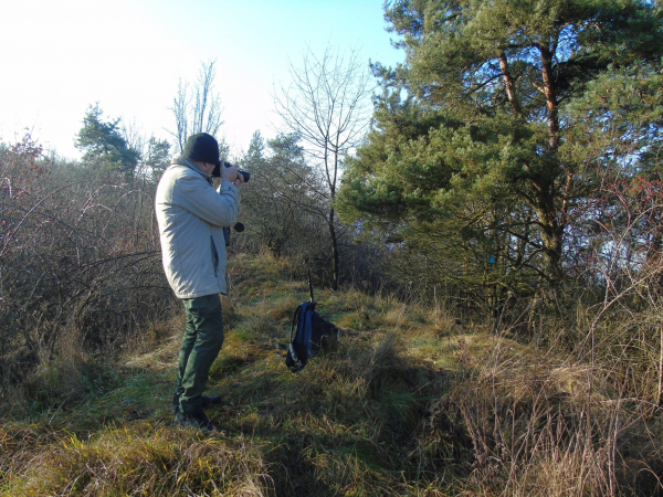 На схилах Дністровського каньйону розпочали зимовий облік птахів та зафіксували рідкісний вид