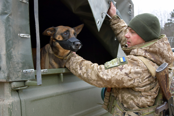 Кінолог за покликанням: історія прикордонника з Кременеччини Назара та його бельгійської вівчарки Мамби (фото)