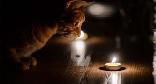 Тернопільобленерго повідомляє про погодинні відключення 6 грудня: графік може змінюватися