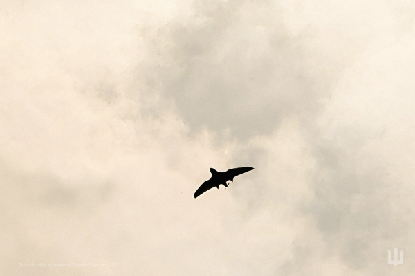 «Фурії» бійців 44-тої артилерійської бригади з Тернопільщини знищують окупантів (ФОТО)