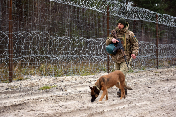 Кінолог за покликанням: історія прикордонника з Кременеччини Назара та його бельгійської вівчарки Мамби (фото)