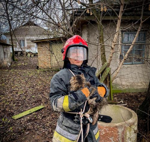 У селі на Кременеччині рятувальники дістали кота, який упав у колодязь