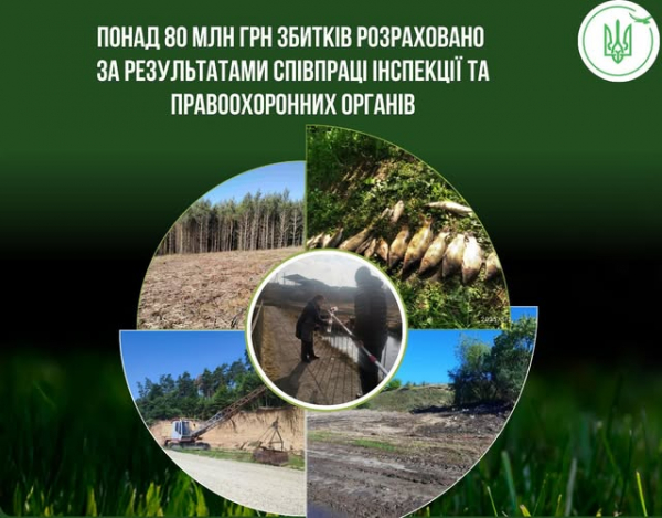 Понад 80 мільйонів гривень збитків завдали довкіллю на Тернопільщині