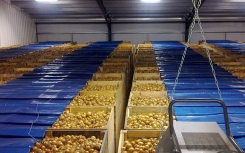 Держава компенсуватиме будівництво овоче- та фруктосховищ, - нардеп з Тернопільщини (відео)