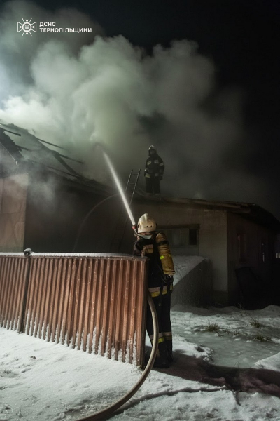 Чотири пожежі за добу зафіксували рятувальники на Тернопільщині (фото)