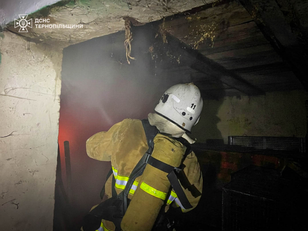 Минулої доби рятувальники Тернопільщини ліквідували пожежі, знешкодили боєприпас та доправили жінку до лікарні (фото)