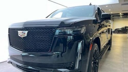 На Тернопільщині власники елітних авто сплатили більше 5 млн грн