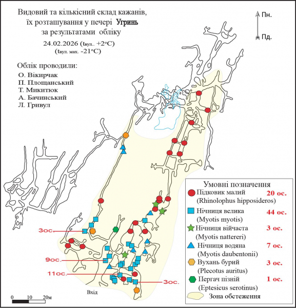 У печерах на Тернопільщині нарахували понад сотню зимуючих кажанів (фото)