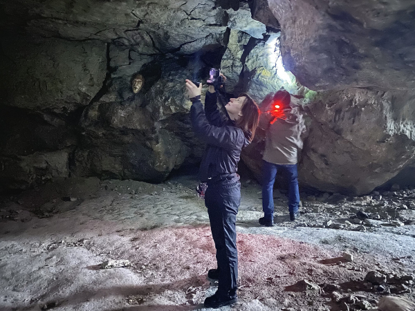 У печерах на Тернопільщині нарахували понад сотню зимуючих кажанів (фото)