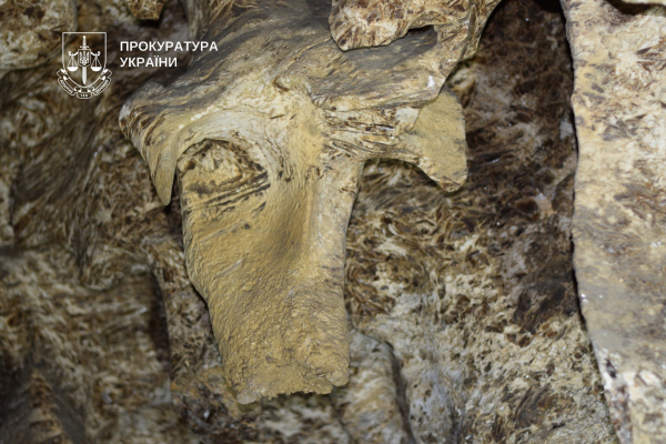 На Тернопільщині повернули державі 8 гектарів заповідної землі, де розташована печера «Кришталева» (фото)