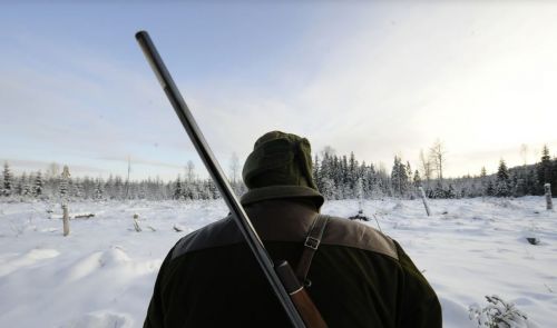 У Підгаєцькій громаді 14 та 15 лютого дозволили полювання