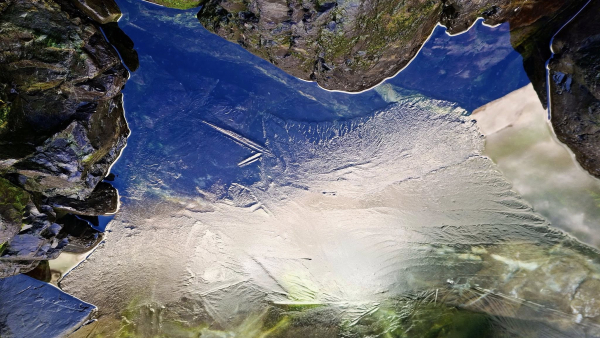 До Всесвітнього дня води опублікували фото, яким різним її колір може бути в Антарктиці