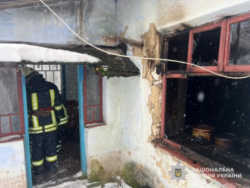 У Золотниках і Білецькому лісництві виявили двох загиблих після пожеж