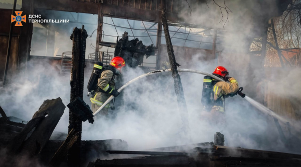 За добу на Тернопільщині сталося 10 пожеж та знешкодили вибухонебезпечний предмет (фото)