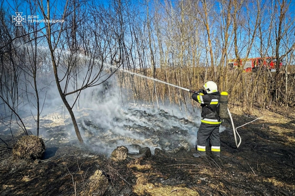 За добу на Тернопільщині селяни спалили сухої трави на площі 6,5 гектара (фото)