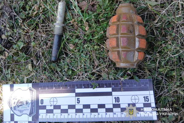 Макет бойової гранати Ф-1 виявили на території ліцею у селищі Підволочиськ (фото)