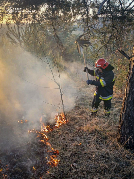 За добу на Тернопільщині селяни спалили сухої трави на площі 6,5 гектара (фото)