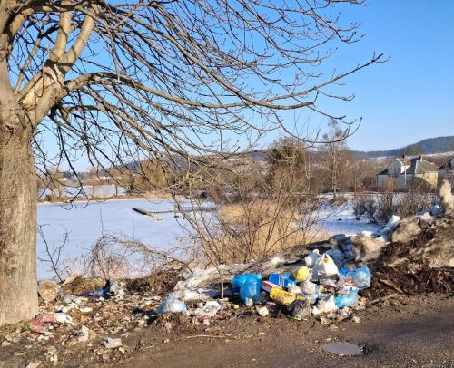 На березі водойми біля Бережан виявили стихійне сміттєзвалище