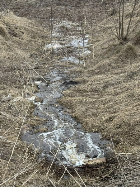 Мовчить влада та екологи: на Зборівщині у місцеву річку зливають відходи з птахоферми (фото)