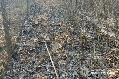 У Підволочиській громаді під час спалювання трави загинув чоловік, ще один – отримав опіки