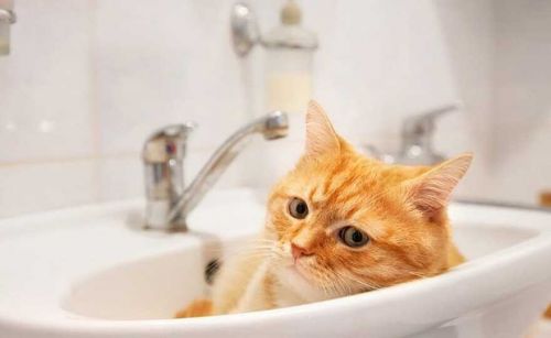 Запасайтеся водою: у Тернополі вимкнуть водопостачання для жителів однієї з вулиць міста