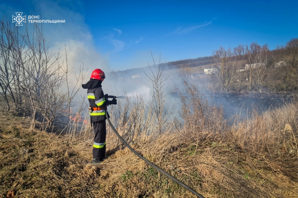 За добу на Тернопільщині селяни спалили сухої трави на площі 6,5 гектара (фото)