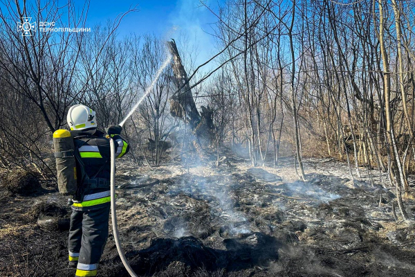 За добу на Тернопільщині селяни спалили сухої трави на площі 6,5 гектара (фото)