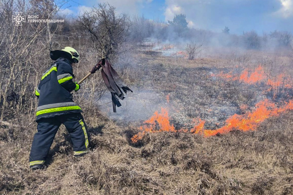Пожежі, боєприпаси і врятована косуля – що сталося на Тернопільщині за добу (фото)