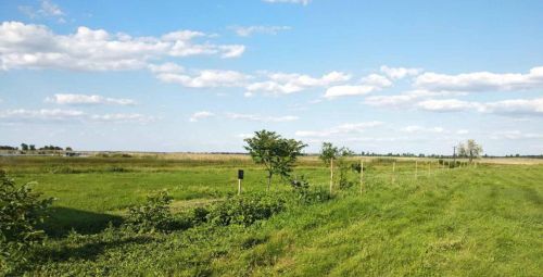 На Бережанщині прокуратура через суд вимагає повернути громаді землю вартістю понад 7 млн грн