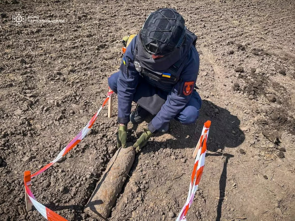 Пожежі, боєприпаси і врятована косуля – що сталося на Тернопільщині за добу (фото)