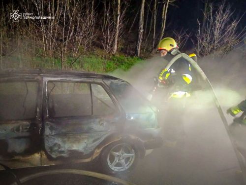 Пожежі, боєприпаси і врятована косуля – що сталося на Тернопільщині за добу (фото)