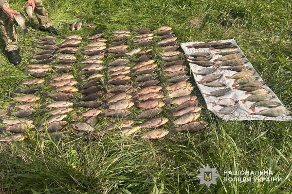 Завдав збитків на 250 тис грн: на Теребовлянщині пенсіонер виловив 150 рибин сітками (фото)