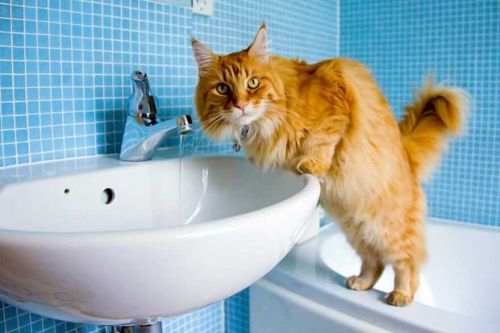 Тимчасово без водопостачання залишилися жителі Східного у Тернополі