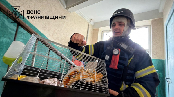 ДСНС: на Франківщині внаслідок атаки рф виникла пожежа у багатоповерхівці та пошкоджено будинки (фото, відео)