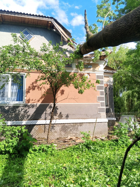 У селі Олесине на Тернопільщині дерево впало на житловий будинок (фото)