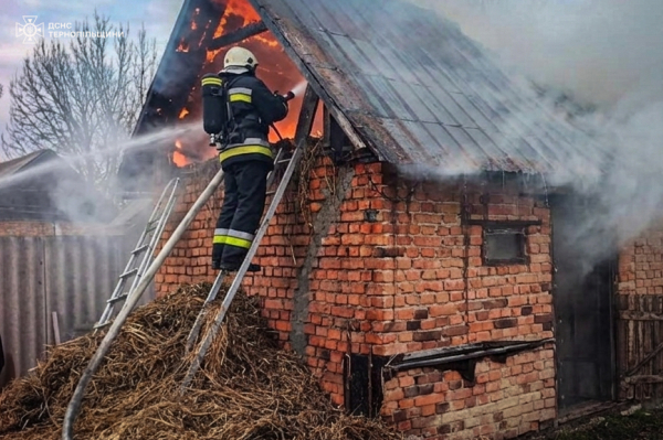 Горіли будинки у селах Петриків, Великі Куськівці та Збаражі: деталі пожеж (ФОТО)