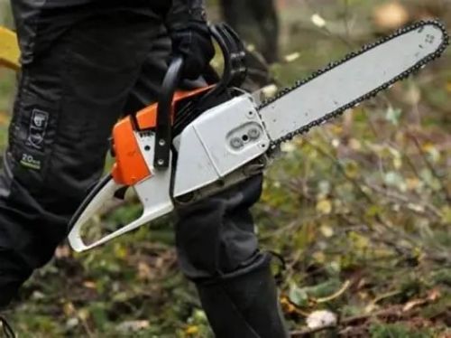 На Тернопільщині під час тривоги заборонили користуватися бензопилами та гучним транспортом