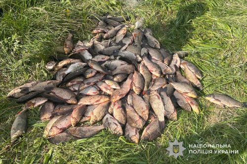 Завдав збитків на 250 тис грн: на Теребовлянщині пенсіонер виловив 150 рибин сітками (фото)