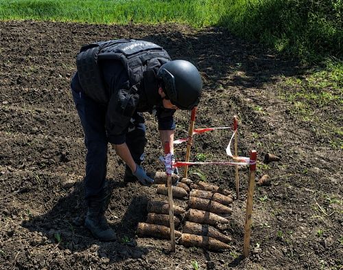 На Тернопільщині піротехніки знищили 18 боєприпасів часів Другої світової війни (фото)
