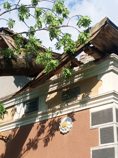 У селі Олесине на Тернопільщині дерево впало на житловий будинок (фото)