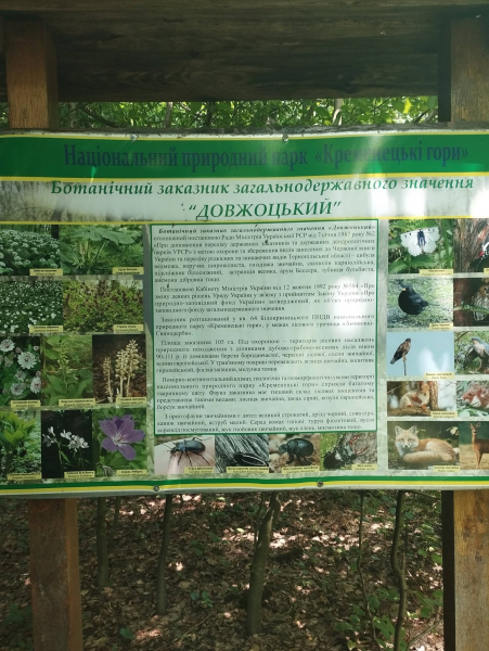 У заказнику на Кременеччині завершився сезон цвітіння рідкісних рослин (фото)