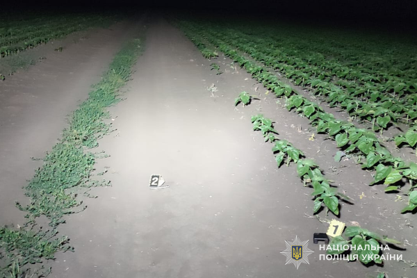 На Тернопільщині у двох ДТП травмувалися жінка та 13-річний хлопець (фото)