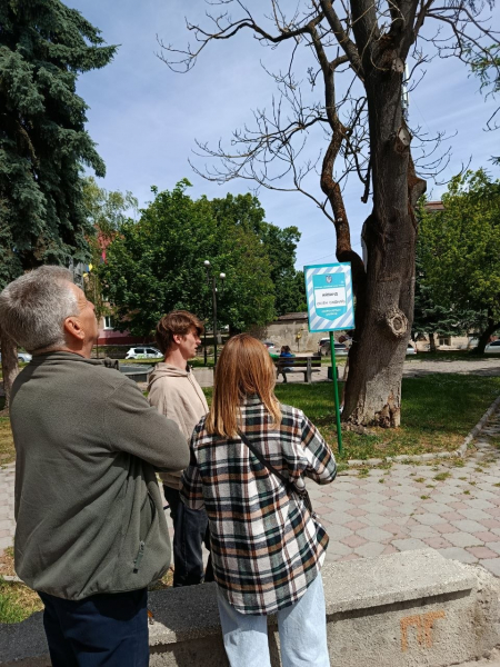 У Чорткові попереджають про небезпечний стан ботанічної пам’ятки в міському сквері (фото)