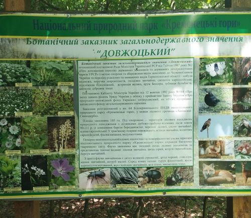 У заказнику на Кременеччині завершився сезон цвітіння рідкісних рослин (фото)