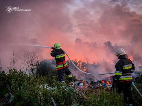 Пожежа охопила понад пів гектара: горіло сміття у Великій Луці