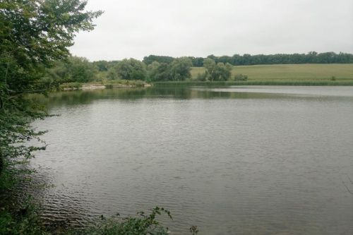 Кишкову паличку та ентерококи виявили у воді в Хоросткові